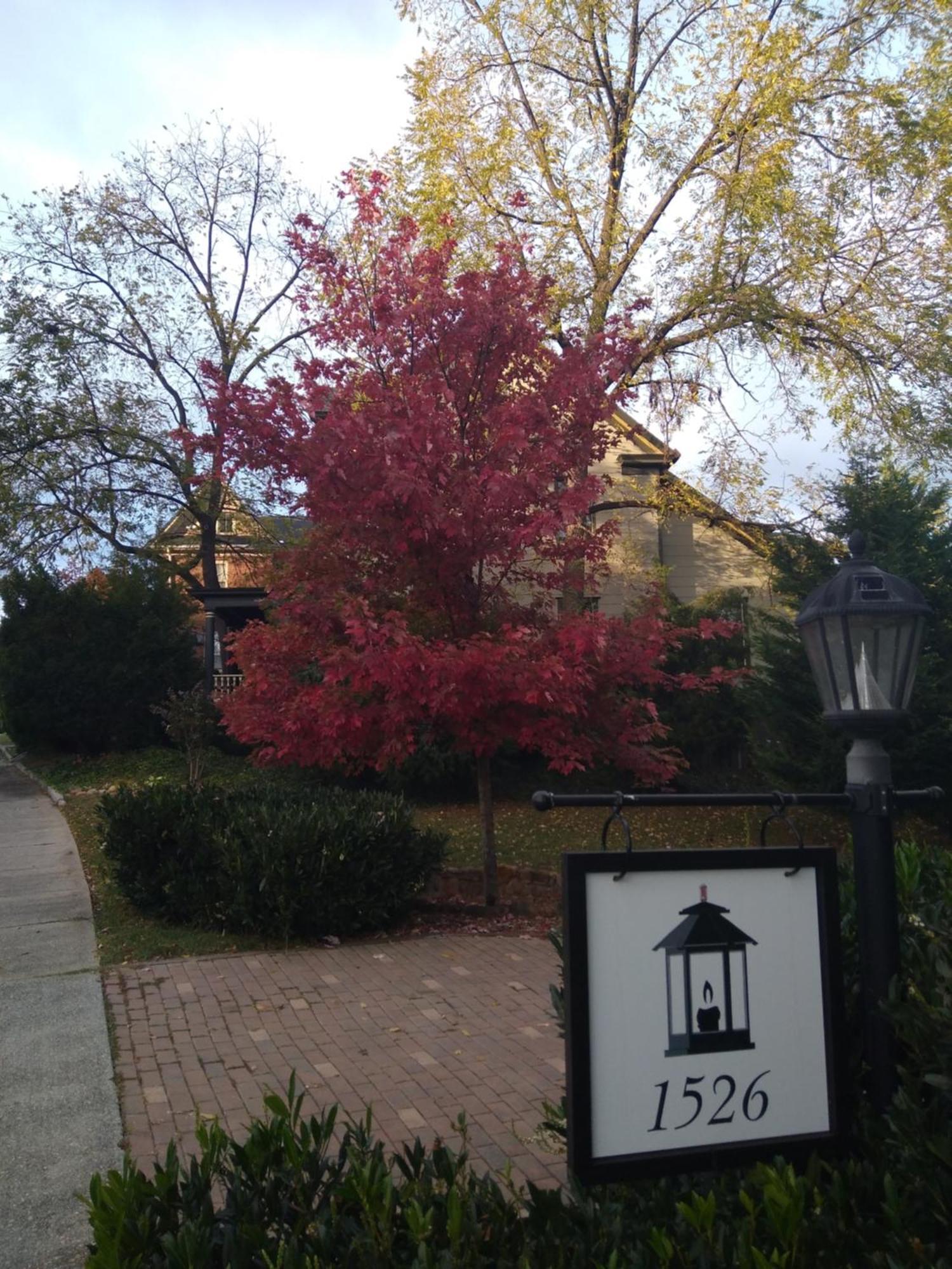 Black Lantern Inn Roanoke Extérieur photo